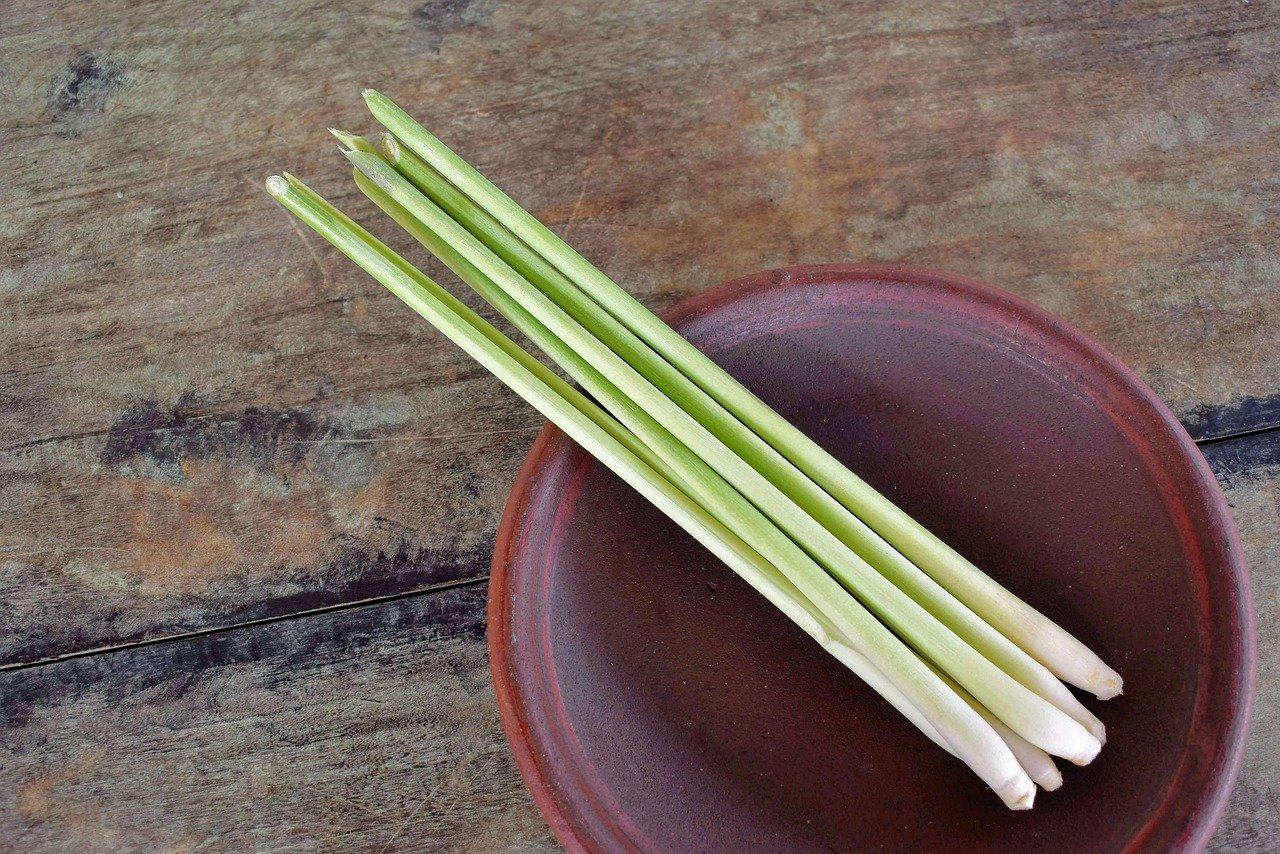découvrez les multiples bienfaits du lemongrass, une herbe aromatique aux propriétés détoxifiantes et aux saveurs citronnées. apprenez à l'utiliser en cuisine, dans vos infusions et pour vos soins naturels.