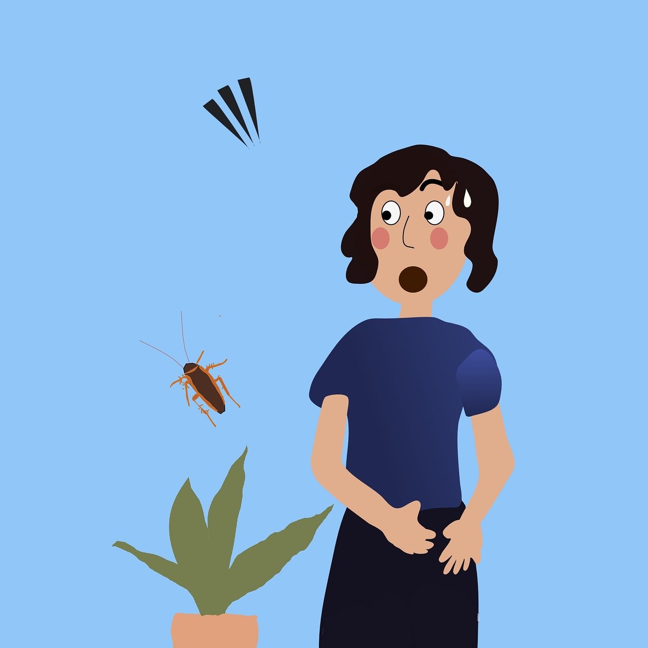 découvrez tout sur les cafards : leur biologie, leur habitat, et des conseils pratiques pour les éloigner de votre domicile. informez-vous sur les méthodes de prévention et de lutte contre ces insectes indésirables.