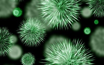 découvrez le concept de résistance, une force essentielle qui se manifeste dans divers domaines comme la physique, la biologie et la psychologie. explorez son impact, ses applications et son rôle crucial dans notre compréhension du monde.