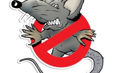 protégez votre maison ou votre entreprise grâce à notre service de pest control efficace et professionnel. intervention rapide contre les nuisibles : souris, rats, cafards, punaises de lit et plus.