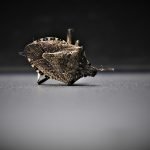 découvrez tout ce qu'il faut savoir sur les punaises de lit : comment les reconnaître, s'en débarrasser efficacement et éviter leur prolifération dans votre maison.