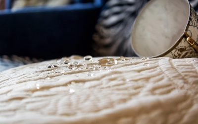 découvrez les plantes répulsives et leurs bienfaits pour éloigner naturellement les insectes nuisibles de votre jardin ou de votre maison. conseils pratiques et liste des meilleures variétés à utiliser.